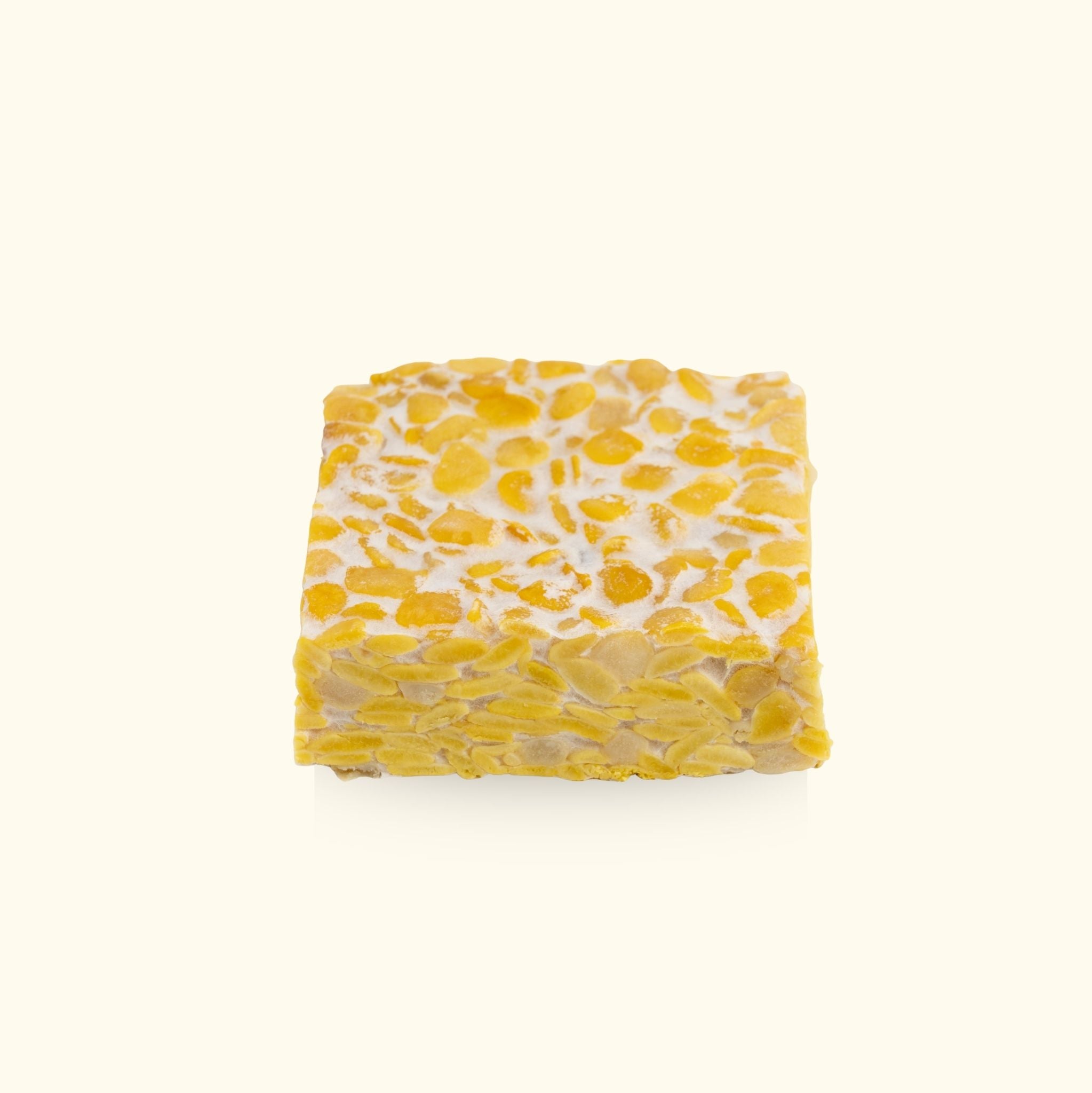 Tempeh Block, fermentierte Hülsenfrüchte für pflanzliche Proteinquelle und Umami Geschmack