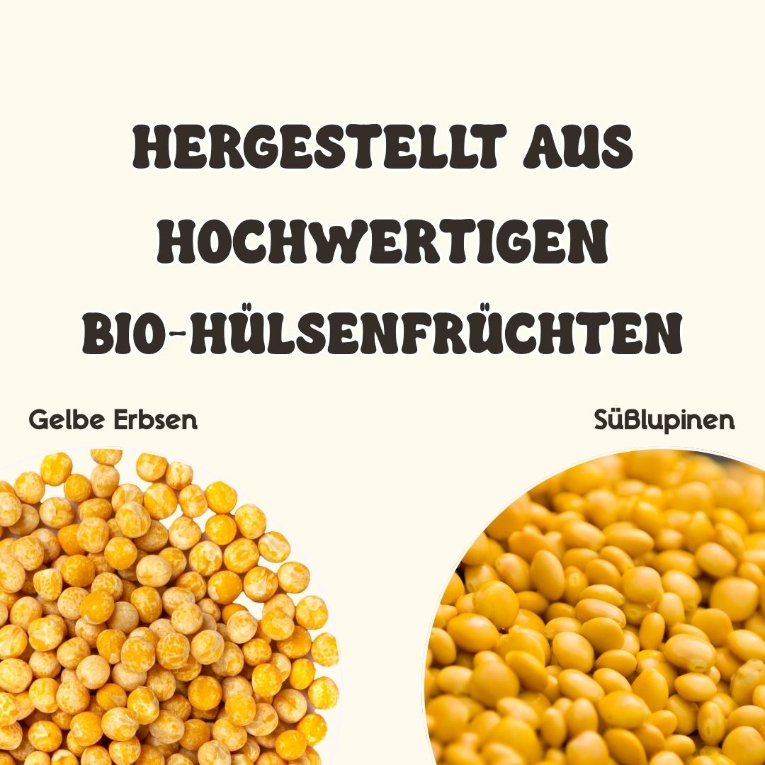 Nahaufnahme von gelben Erbsen und Süßlupinen als Basis für fermentierten Bio-Tempeh von fourTaste. Das Bild zeigt die pflanzlichen Hauptzutaten der sojafreien Tempeh-Rezeptur.