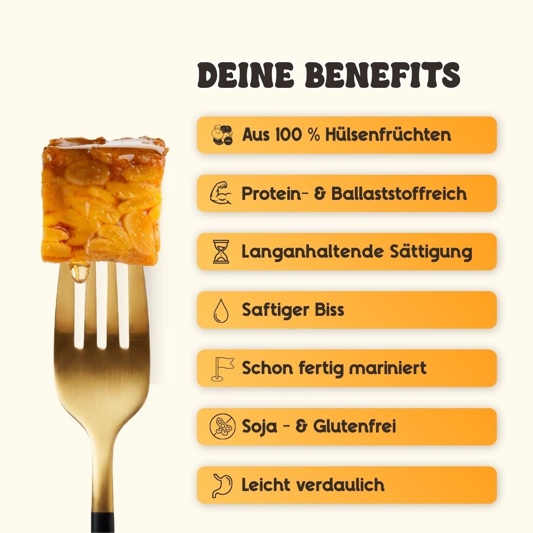 Infografik zu den Vorteilen von fourTaste Tempeh Wild Gaucho mit Hinweisen zu pflanzlichem Protein, Ballaststoffen, Fermentation, langer Sättigung sowie soja- und glutenfreier Rezeptur. Tempeh-Stück auf einer Gabel als Nahaufnahme.
