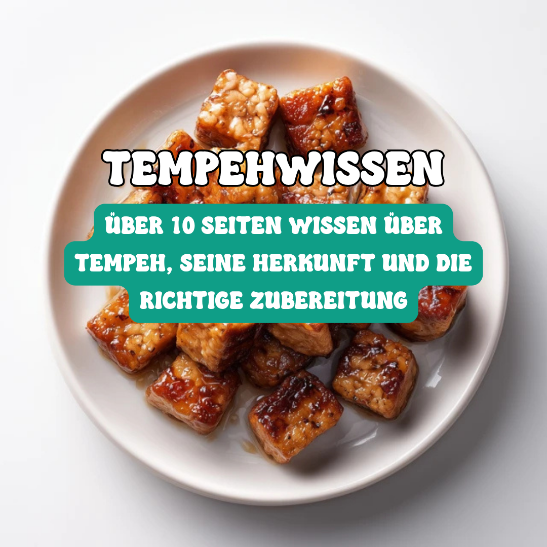 fourTaste Tempeh-Guide
